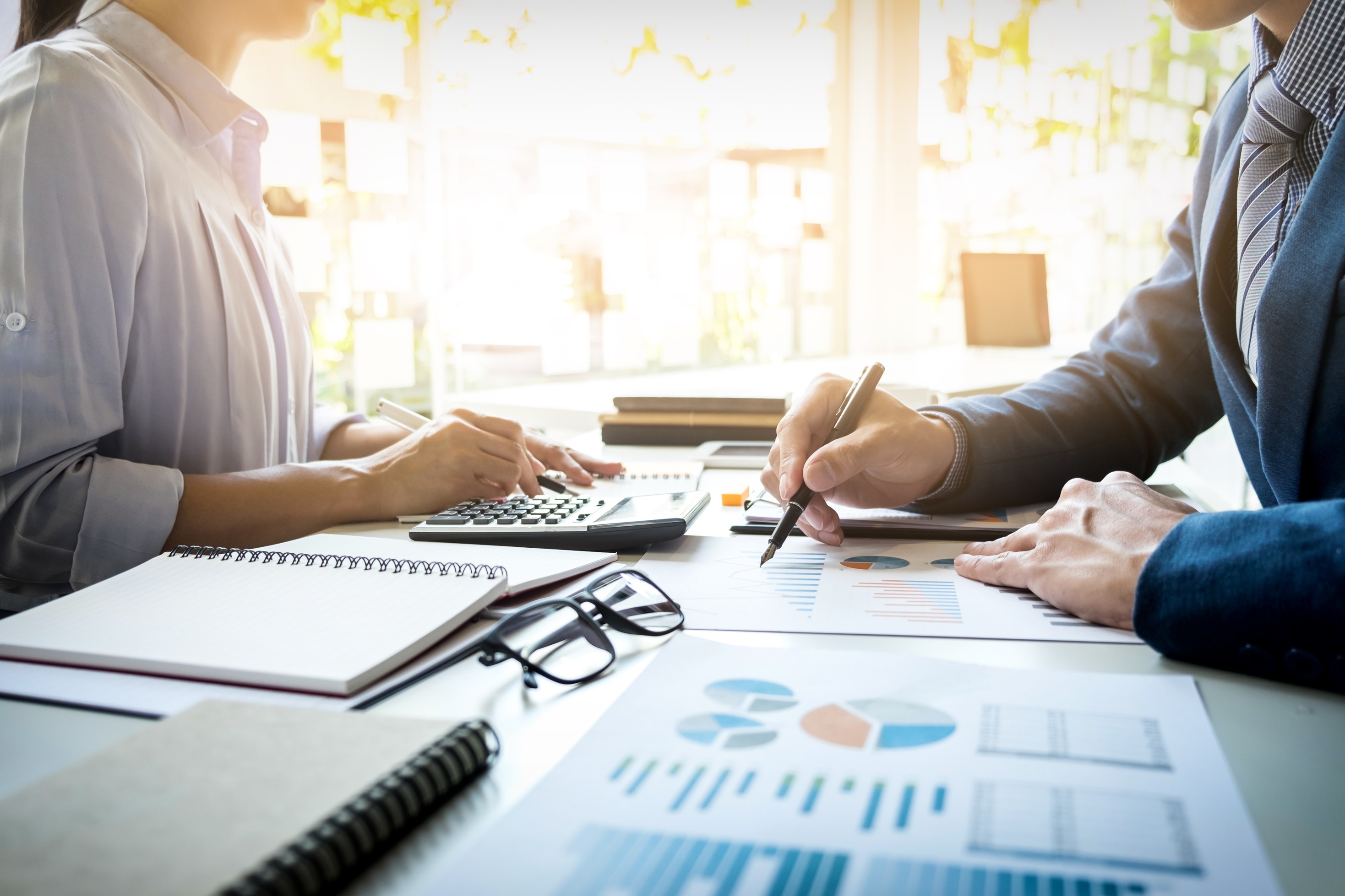 Professional accounting services